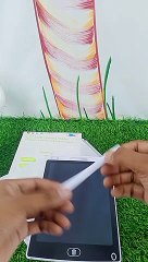 New LCD Tablet - A Replacement of Actual Tablet