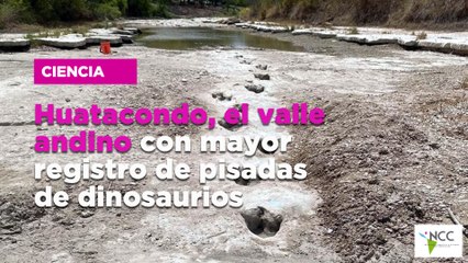 Huatacondo, el valle andino con mayor registro de pisadas de dinosaurios