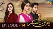 Yakeen Ka Safar - Episode 14 - [ HD ] - {  Sajal Ali - Ahad Raza Mir - Hira Mani }