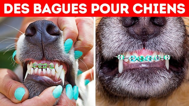 33 Choses Incroyables Que tu ne Savais Pas il y a 5 Minutes