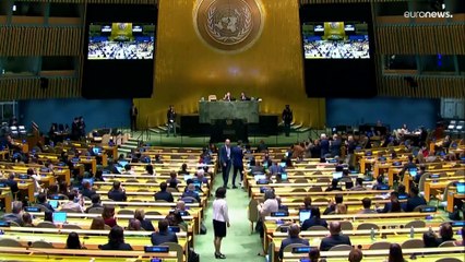 Opferrolle vor der UNO: Vucic vergleicht Serbien mit der Ukraine