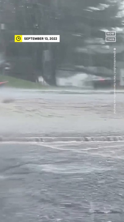 VW Beetle Attempts to Drive Through Flash Flood