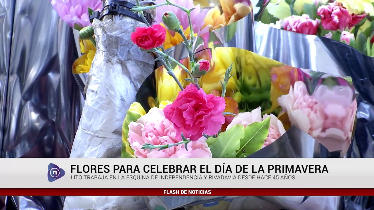 DÍA DE LA PRIMAVERA
