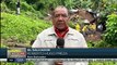 Deslizamientos de tierra a causa de fuertes lluvias causan la muerte de siete salvadoreños
