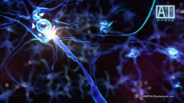 人間ってナンだ？超AI入門　シーズン3　第7回「恋のキューピッドはAI？あなたのイメージもAIが？」 20190515