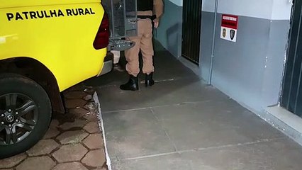 Homem em posse de arma de fogo é detido pela Patrulha Rural da PM após ameaçar desafeto