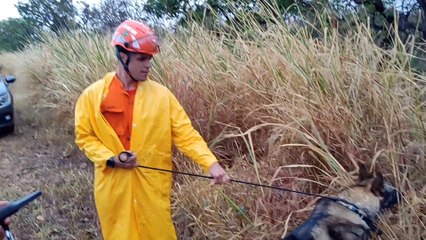 Por dívida de drogas, traficante mata homem e desova corpo em carrinho