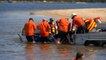 32 whales rescued after mass beaching event in Tasmania