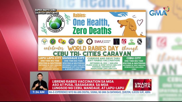 Libreng rabies vaccination sa mga aso't pusa, isasagawa sa mga lungsod ng Cebu, Mandaue, at Lapu-Lapu | UB