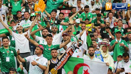 الجزائر - غينيا.. الخضر يشرعون في إستعادة الهيبة المفقودة