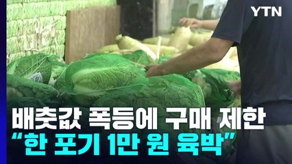 배춧값 폭등에 구매 제한까지..."품질도 예년 같지 않아" / YTN