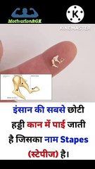 इंसान की सबसे छोटी हड्डी | human stapes bone | GK study video in hindi