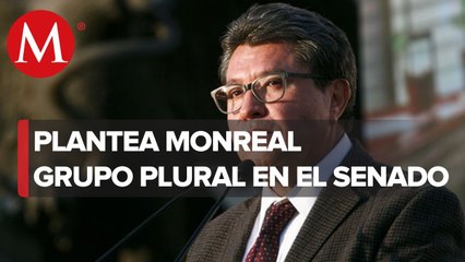Ricardo Monreal propone crear un grupo plural