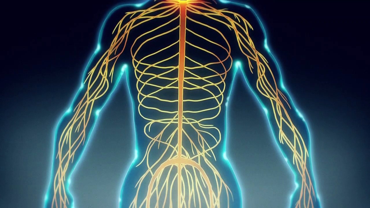 No Guns Life Staffel 1 Folge 2 HD Deutsch