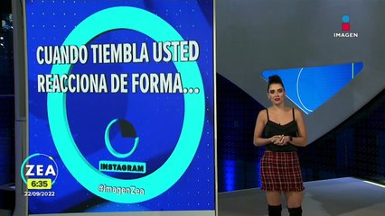 VIDEO: Cocodrilo detiene el tránsito en Tamaulipas