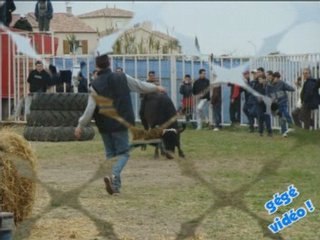 Encierro en photos st christol 9.03.2008...