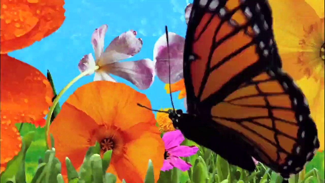 The Secret Life of the American Teenager Staffel 3 Folge 5 HD Deutsch