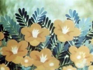 Tao Tao - Tiergeschichten aus aller Welt Staffel 1 Folge 37 HD Deutsch