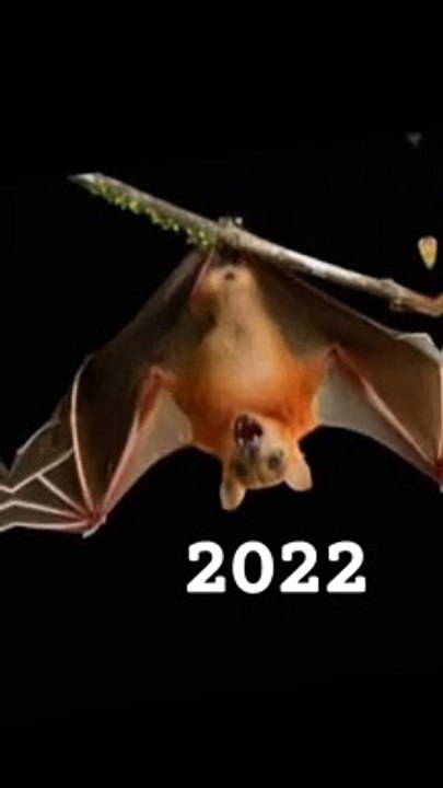 ##reelsinstagram #reelkrofeelkro #REELS #reels #reelitfeelit #trandingreels #instagood #instagram #photooftheday #like4like #p...w #photo #likeforlike #beautiful #instamood #fashion #instalike #instagrammers #instagram_turkey #instapic #instagram_kids