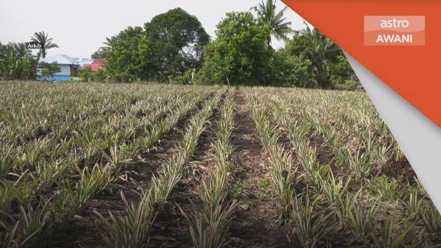 Bajet 2023 | Tingkat produktiviti pertanian, jamin sekuriti makanan
