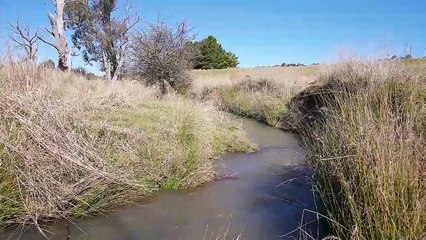 Eagle Farm, Spring Terrace - September 23, 2022 - Farmonline
