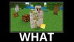 WAIT WHAT (Minecraft)