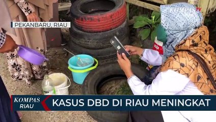 Kasus DBD Di Riau Meningkat