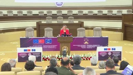 Zühtü Arslan: "Bireysel başvurunun iyi uygulama örneklerinden biri Türkiye'de yerleşti"