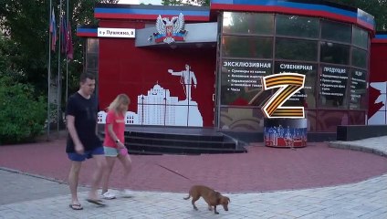 Ukraine: "Referenden" in besetzten Gebieten begonnen