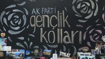 AK Parti Gençlik Kolları, 