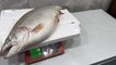 Bursa haberi | İznik Gölü'nde 8 kiloluk somon balığı yakalandı