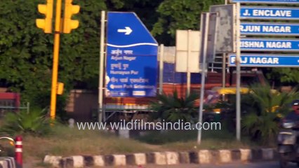 Ambulance crosses the stop signal at traffic intersection