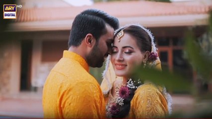 Mehndi highlights of Anya Ali and Ali Hamza