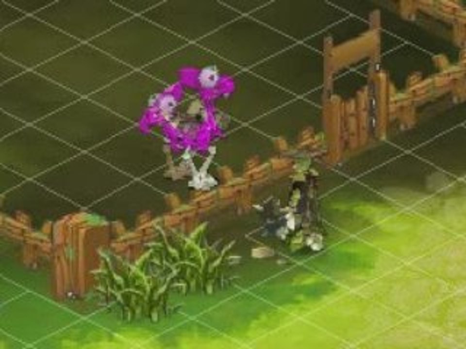 Reproduction d'Orchidées