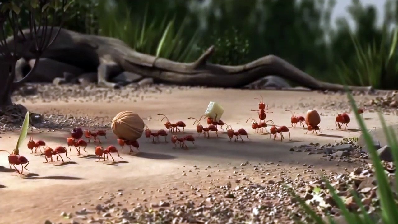 _Funny_Animation cartoon video.