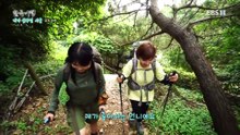 한국기행 - Korea travel_내가 꿈꾸던 시골 5부- 퇴근박을 아시나요?_#001