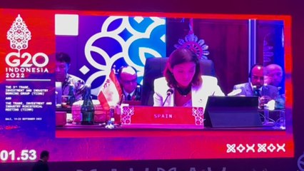 Reyes Maroto, en el G20: "Hay debate para prepararnos para futuras pandemias"