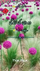 Anmol Baatain #goldenwords #anmolbaaten #viral #trendingshorts #amazing