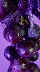 Words that start with G for kids | #shorts #short #youtubeshorts #youtube #abcd