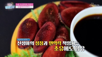 면역력에 도움 주는 성분이 풍부한 【녹용】 TV CHOSUN 220923 방송