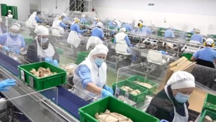 El INE eleva al 1,5 % el crecimiento económico del segundo trimestre