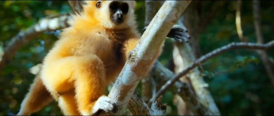 Les Pouvoirs Extraordinaires de la Nature