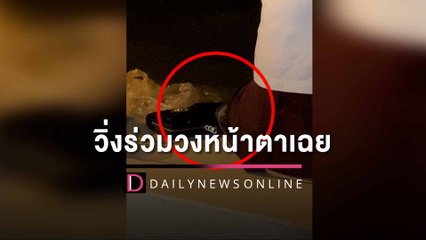 กรี๊ดลั่น! นั่งกินข้าวอยู่ริมหาดกับเพื่อนชิลชิล เจอ ‘หนูยักษ์’ ใจกล้าวิ่งร่วมวงหน้าตาเฉย | HOTSHOT เดลินิวส์ 23/09/65