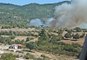 İzmir'de orman yangını: Havadan ve karadan müdahale başladı