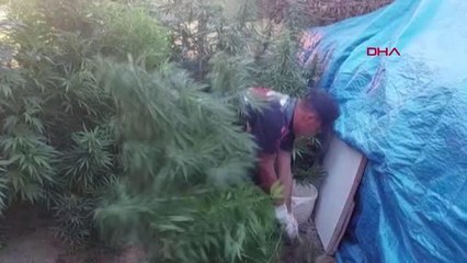 Son dakika haberi... JANDARMADAN EVE UYUŞTURUCU BASKINI