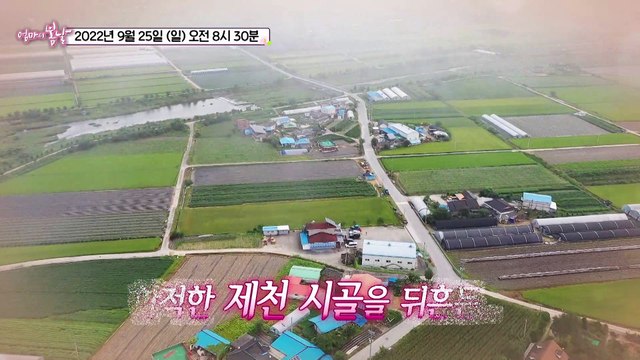 춘희 엄마의 슬기로운 노년 생활_엄마의 봄날 367회 예고 TV CHOSUN 220925 방송