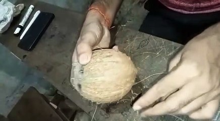 Endosperm of Coconut|Liquid endosperm and Tender endosperm of Coconut