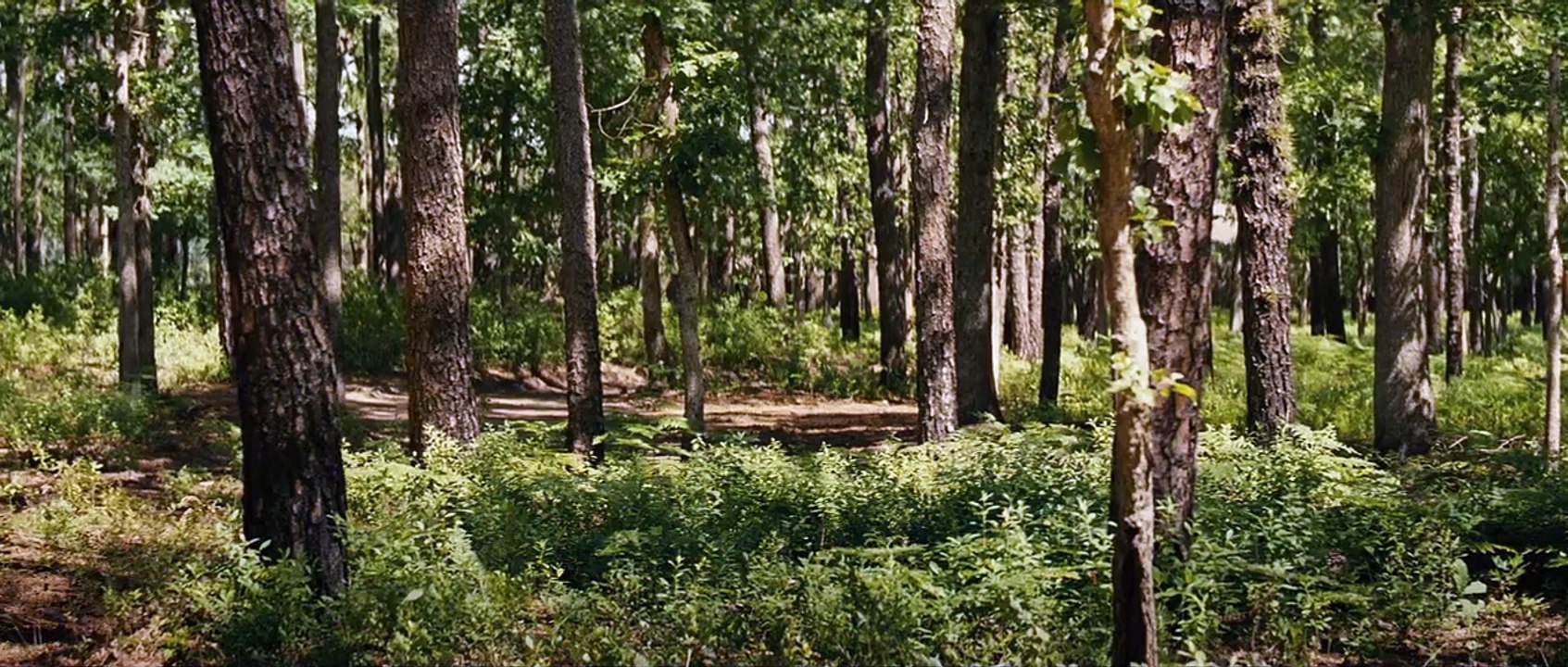 Knock at the cabin trailer df