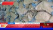 Breaking News Goverment Flour Rate Up l Punjab Mein Sarkari Aatay Ki Qeemat Mein Izafa