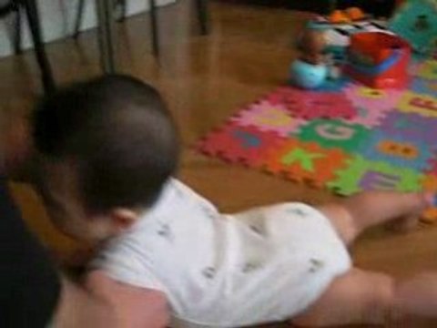 Presque comme du 4 pattes